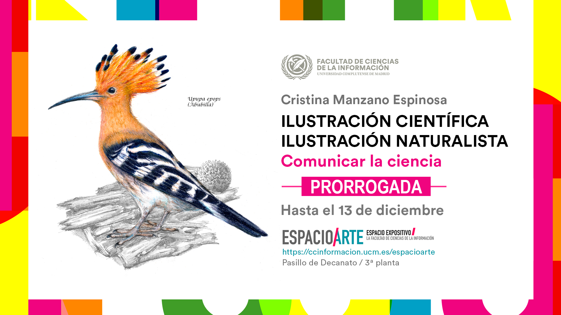 Comunicar la ciencia: Ilustración científica y naturalista